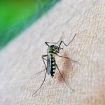 mortes-por-dengue-passam-de-2-mil-desde-o-inicio-do-ano