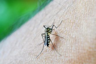 mortes-por-dengue-passam-de-2-mil-desde-o-inicio-do-ano
