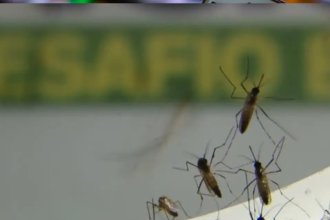 rio-de-janeiro-registra-mais-de-17-mil-casos-de-dengue-este-ano
