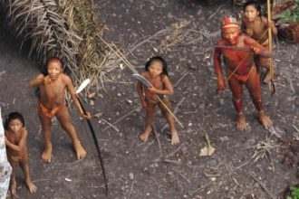 ao-menos-208-indigenas-foram-assassinados-no-brasil,-em-2023