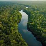 alertas-de-desmatamento-na-amazonia-caem-46%-em-um-ano