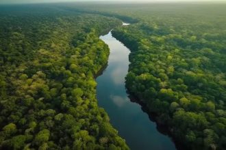 alertas-de-desmatamento-na-amazonia-caem-46%-em-um-ano