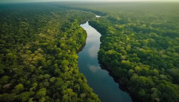 alertas-de-desmatamento-na-amazonia-caem-46%-em-um-ano