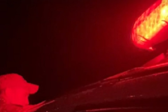 mulher-e-presa-por-esconder-drogas-na-fralda-do-proprio-filho-no-marajo