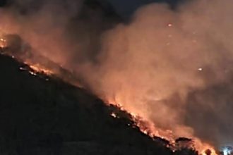 lula-lamenta-morte-de-servidores-do-ibge-em-combate-a-incendio