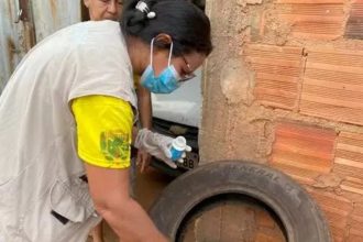 verao-amazonico-exige-atencao-contra-dengue-e-outras-arboviroses