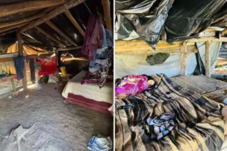 sete-trabalhadores-resgatados-em-condicoes-analogas-a-escravidao-no-para