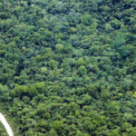 fapespa-e-universidade-de-birmingham-ampliam-parceria-com-chamada-complementar