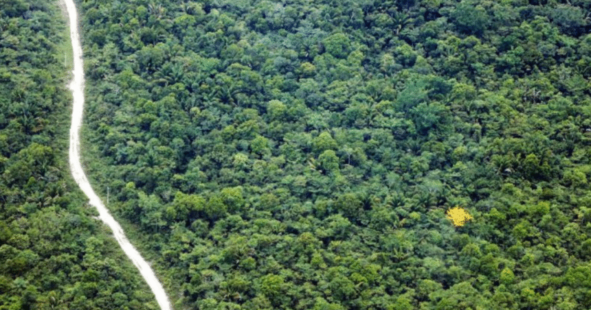 fapespa-e-universidade-de-birmingham-ampliam-parceria-com-chamada-complementar