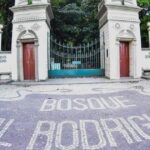 samaumeiras-ganham-novo-lar-no-bosque-rodrigues-alves