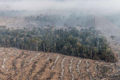 apenas-7%-de-acoes-judiciais-de-grilagem-na-amazonia-tem-condenacao