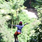 gestores-aprovam-modelo-de-concessao-de-parques-naturais-e-urbanos