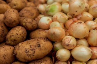 batata-e-cebola-registram-quedas-de-ate-31%-no-atacado,-aponta-conab