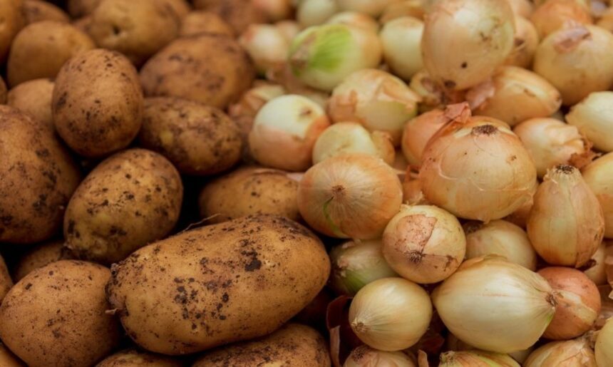 batata-e-cebola-registram-quedas-de-ate-31%-no-atacado,-aponta-conab