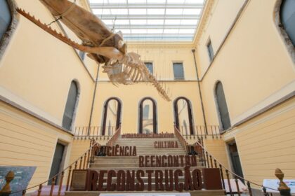 museu-nacional-realiza-no-domingo-setima-edicao-de-festival