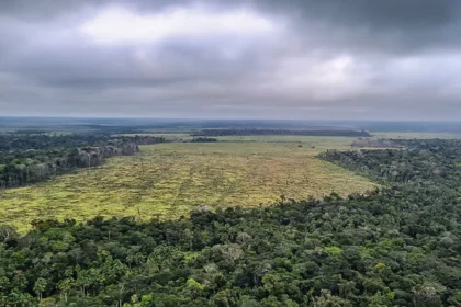 desmatamento-e-responsavel-por-75%-da-reducao-de-chuvas-na-amazonia,-revela-estudo