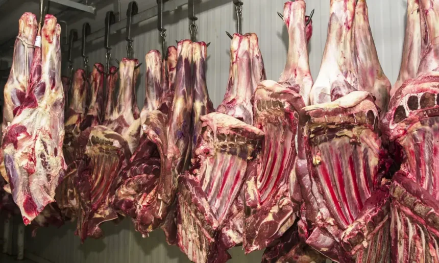 mapa-preve-que-japao-e-turquia-devem-abrir-mercados-para-carne-bovina-brasileira-ate-fim-de-2025