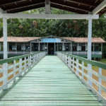 belem-prioriza-professores-efetivos-para-educacao-nas-ilhas