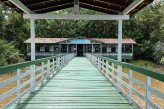 belem-prioriza-professores-efetivos-para-educacao-nas-ilhas