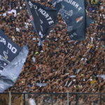 torcida-azulina-vibra-com-retorno-do-remo-ao-estadio-baenao