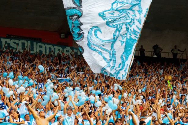 paysandu-encara-reta-final-da-serie-b-com-esperanca