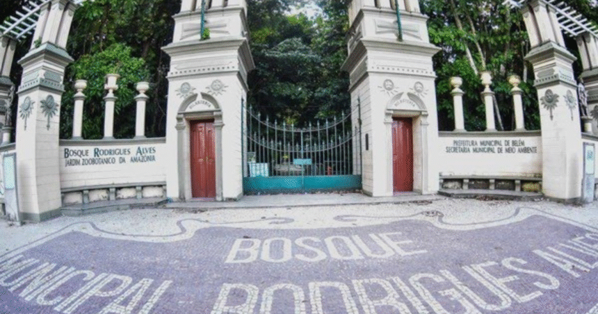 bosque-rodrigues-alves-tem-programacao-ambiental-no-fim-de-semana