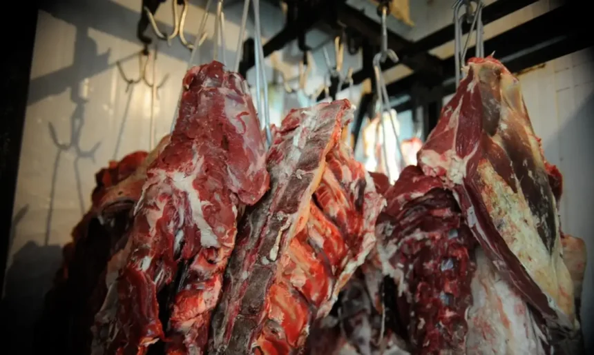 entenda-como-brasil-aumentou-50%-nas-exportacoes-de-carne-mesmo-com-tarifa-de-trump