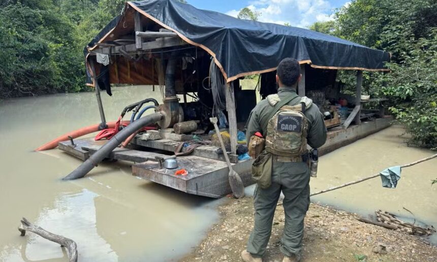 policia-federal-inutiliza-equipamentos-de-garimpo-ilegal-em-terras-indigenas-e-florestas-no-para