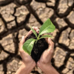 ansiedade-climatica-afeta-saude-mental-de-42%-dos-brasileiros