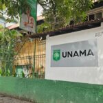 unama-sedia-feira-da-bioeconomia-e-debates-climaticos-durante-cop30