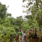 franca-lidera-acao-de-us$-2,5-bilhoes-para-proteger-floresta-do-congo