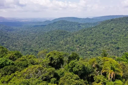 sete-paises-lancam-alianca-por-transporte-sustentavel-na-amazonia-durante-cop30