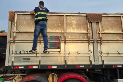 mais-de-48-toneladas-de-milho-sao-apreendidas-no-sudoeste-do-para