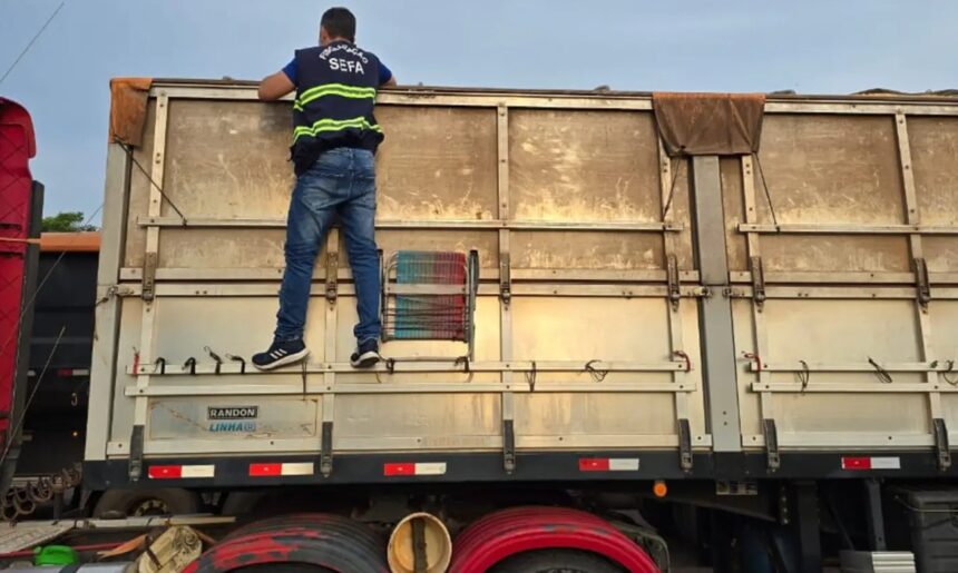 mais-de-48-toneladas-de-milho-sao-apreendidas-no-sudoeste-do-para