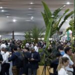 a-poucas-horas-do-fim-da-cop30,-negociacoes-prosseguem-em-belem
