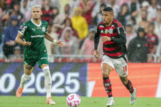 palmeiras-e-flamengo-decidem-hoje-a-libertadores-2025