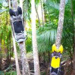 macapa-sedia-primeira-fabrica-de-robo-colhedor-de-acai-do-brasil