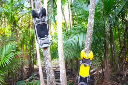 macapa-sedia-primeira-fabrica-de-robo-colhedor-de-acai-do-brasil