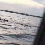 familia-com-criancas-fica-a-deriva-no-rio-xingu-apos-naufragio-em-porto-de-moz