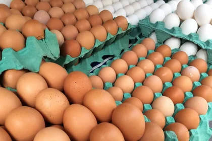 preco-dos-ovos-cai-mais-de-20%-em-alguns-casos-em-belem,-aponta-dieese