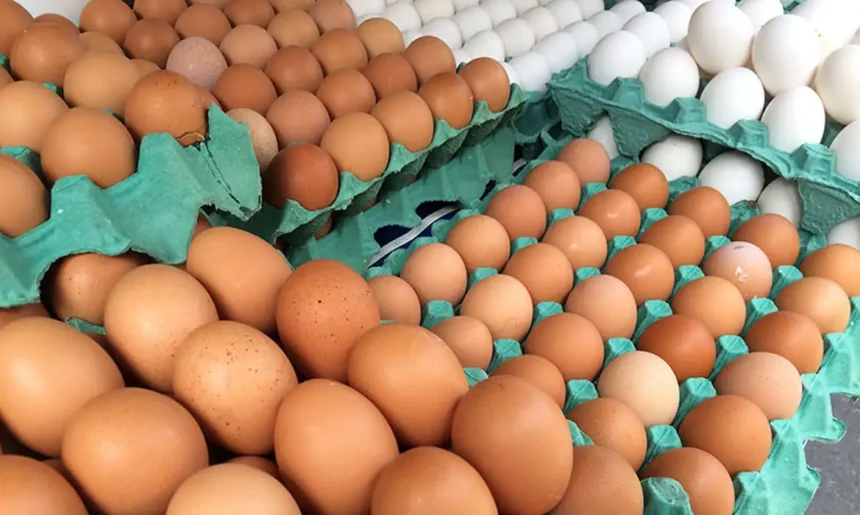 preco-dos-ovos-cai-mais-de-20%-em-alguns-casos-em-belem,-aponta-dieese