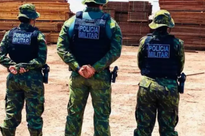 operacao-apreende-856-m-de-madeira-ilegal-no-para