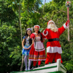 mangal-das-garcas-promove-natal-com-natureza-e-solidariedade