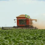 agro-brasileiro-conquista-211-novos-mercados-em-2025,-batendo-recorde-historico
