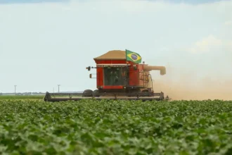agro-brasileiro-conquista-211-novos-mercados-em-2025,-batendo-recorde-historico