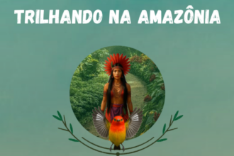 ufpa-cria-game-bilingue-em-libras-para-ensino-de-jovens-e-adultos-surdos