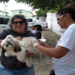 belem-realiza-dia-d-de-vacinacao-antirrabica-gratuita-para-caes-e-gatos-neste-sabado-(20)
